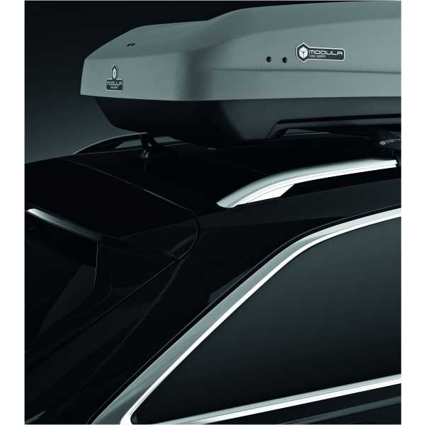 Dakkoffer 570 Liter Modula Condor Grijs